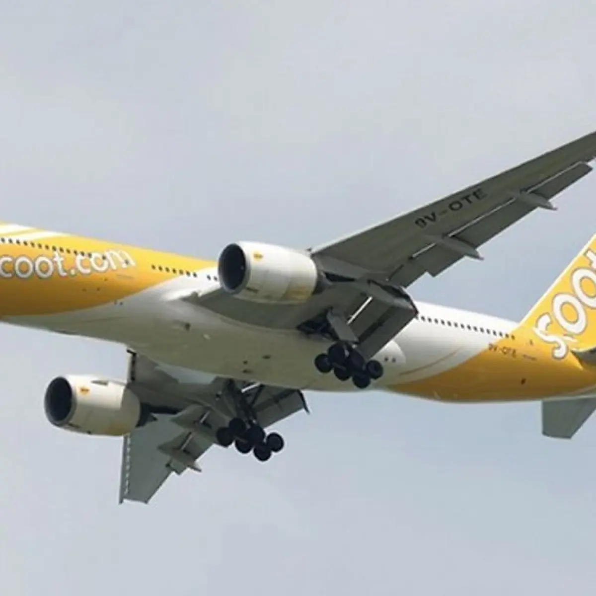 Photo: infopolisi.id Scoot Macau-Singapore Flight Delayed 2 Hours Due to Disruptive Passenger